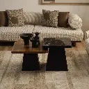 5009529 5005930.webp