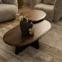 5005923 5005925.webp