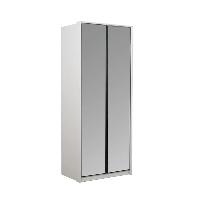 Wardrobe 2 Doors Glass ( Drawer )