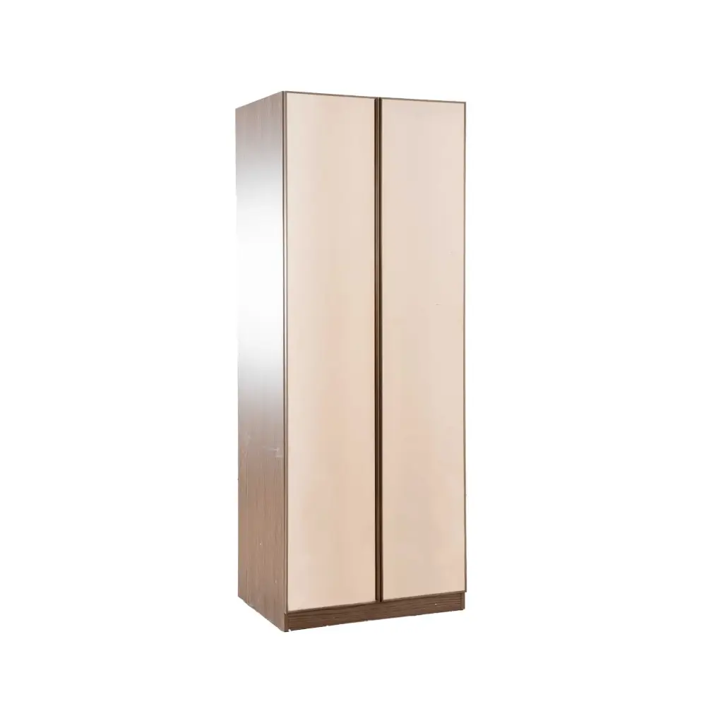 Wardrobe 2 Doors Glass ( Drawer )