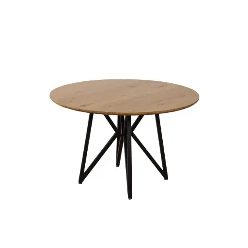 [9056] Dining Table